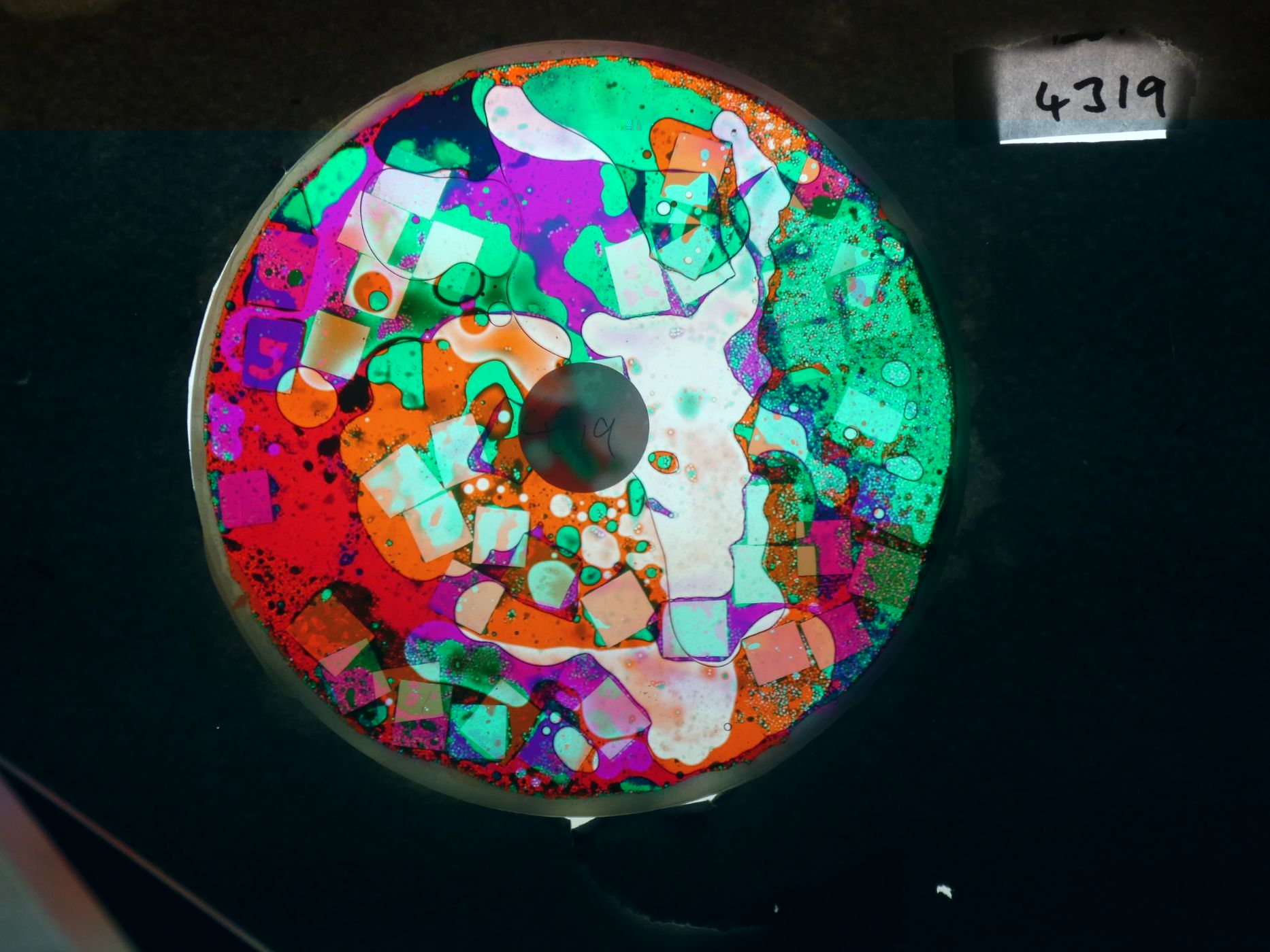 BV4319 bubble vision oil wheel